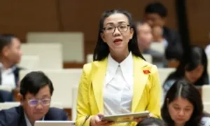 Đại biểu Quốc hội cảnh báo rủi ro phóng xạ từ khai thác đất hiếm